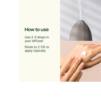 Thumbnail for Eucalyptus Globulus Essential Oil