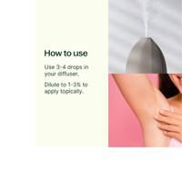 Thumbnail for Deodorizing Essential Oil Blend