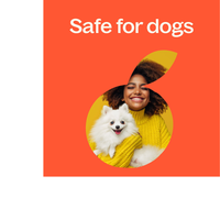 Thumbnail for Citrus Burst Essential Oil Blend