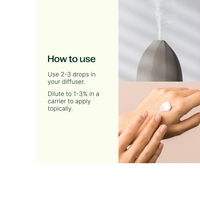 Thumbnail for Loving Compassion (Heart Chakra) Essential Oil Pre-Diluted Roll-On