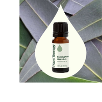 Thumbnail for Eucalyptus Globulus Essential Oil