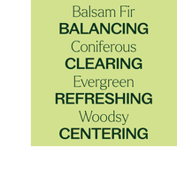 Thumbnail for Balsam Fir Essential Oil