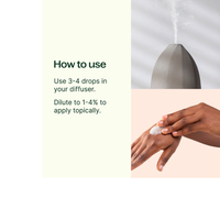 Thumbnail for Pink Grapefruit Essential Oil