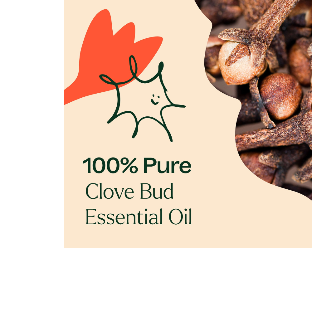 Clove Bud Essential Oil