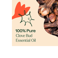 Thumbnail for Clove Bud Essential Oil