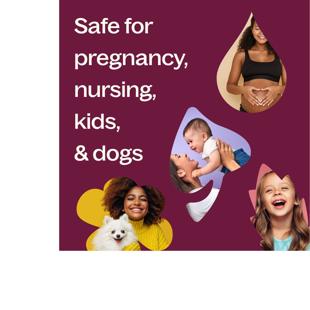 Joyful Creation (Sacral Chakra) Essential Oil