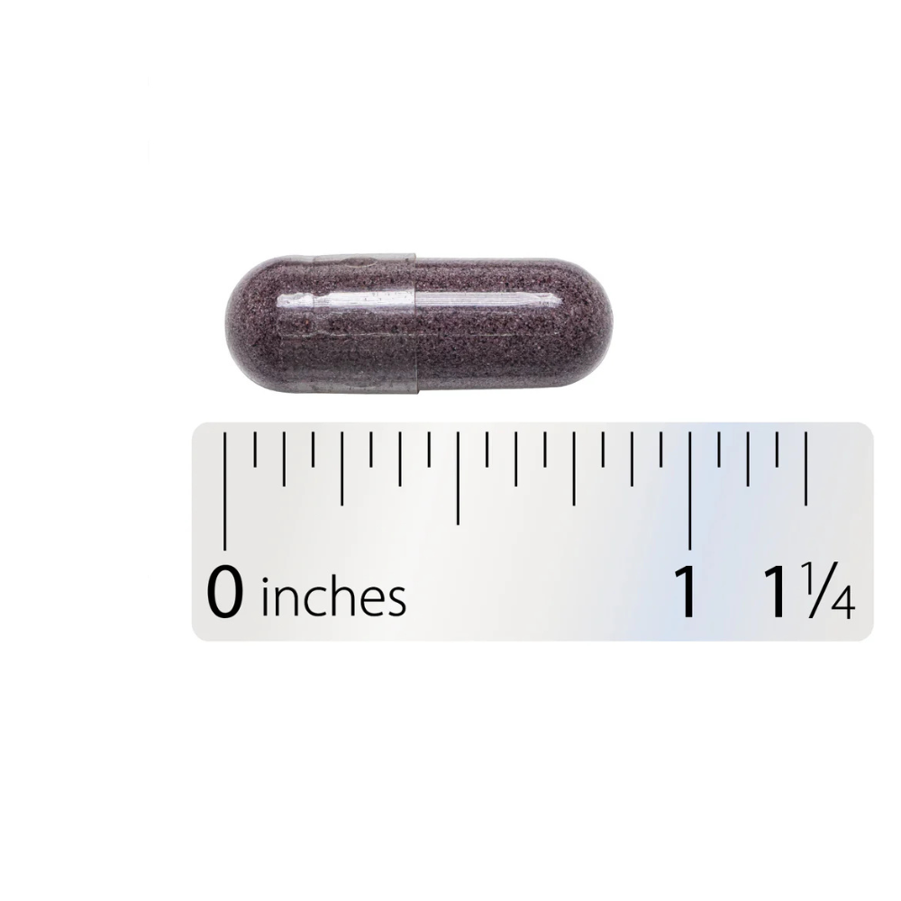 Bilberry