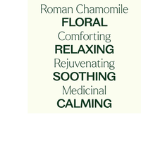 Thumbnail for Roman Chamomile Essential Oil