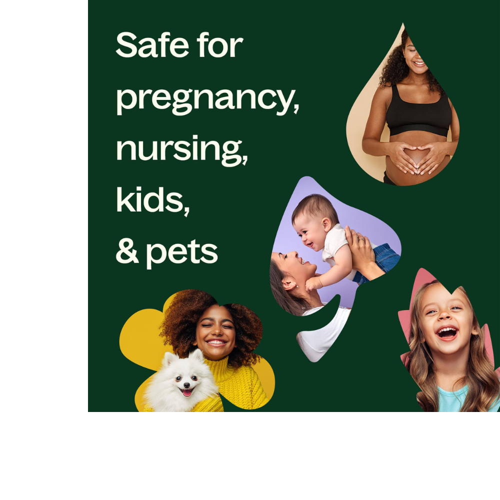 Organic German Chamomile Essential Oil