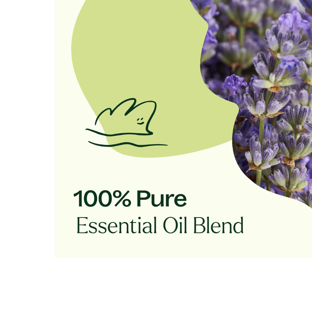 Blissful Dreams Essential Oil