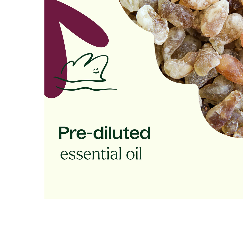 Frankincense Carterii Essential Oil Pre-Diluted Roll-On