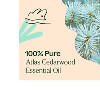 Thumbnail for Atlas Cedarwood Essential Oil