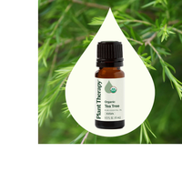 Thumbnail for Organic Tea Tree Essential Oil