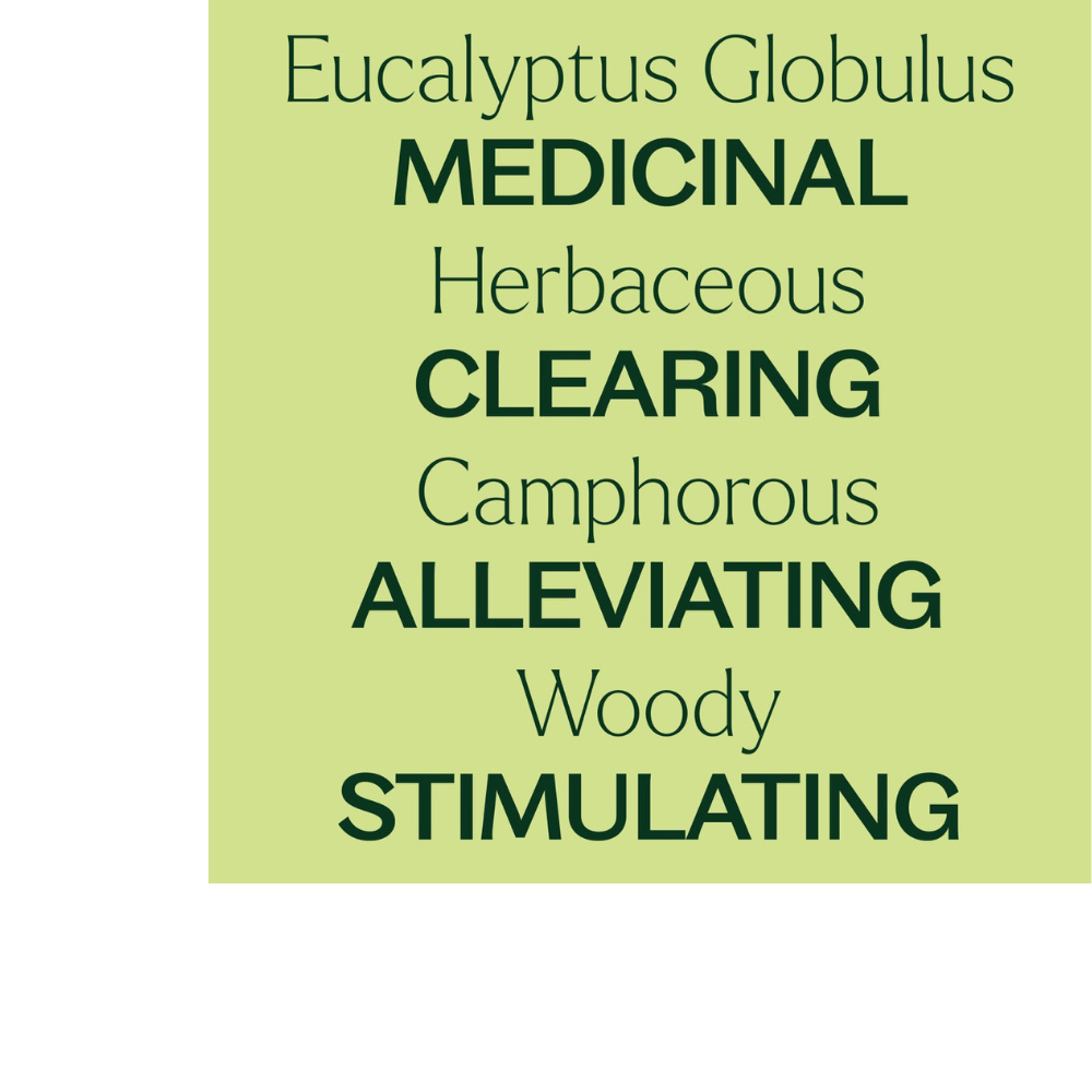 Eucalyptus Globulus Essential Oil