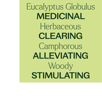 Thumbnail for Eucalyptus Globulus Essential Oil