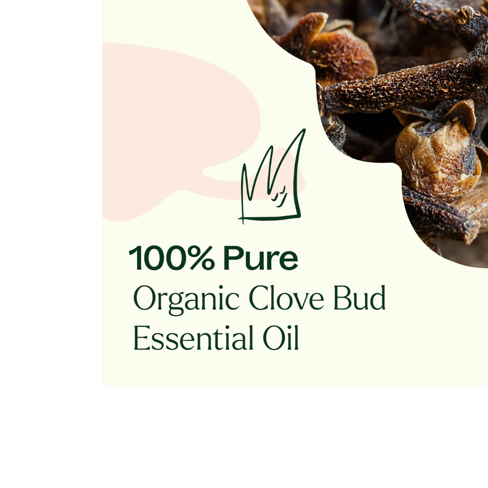 Organic Clove Bud Essential Oil