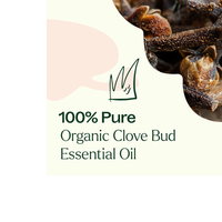 Thumbnail for Organic Clove Bud Essential Oil