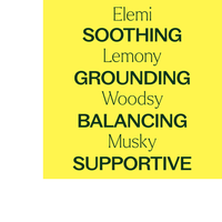 Thumbnail for Elemi Essential Oil