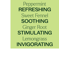 Thumbnail for Gut Aid Essential Oil Blend Pre-Diluted Roll-On