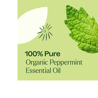 Thumbnail for Organic Peppermint Essential Oil Pre-Diluted Roll-On