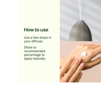 Thumbnail for Essential Oils 7 & 7 Set - 7 Single Oils & 7 Blends 10 mL (1/3 oz) Undiluted