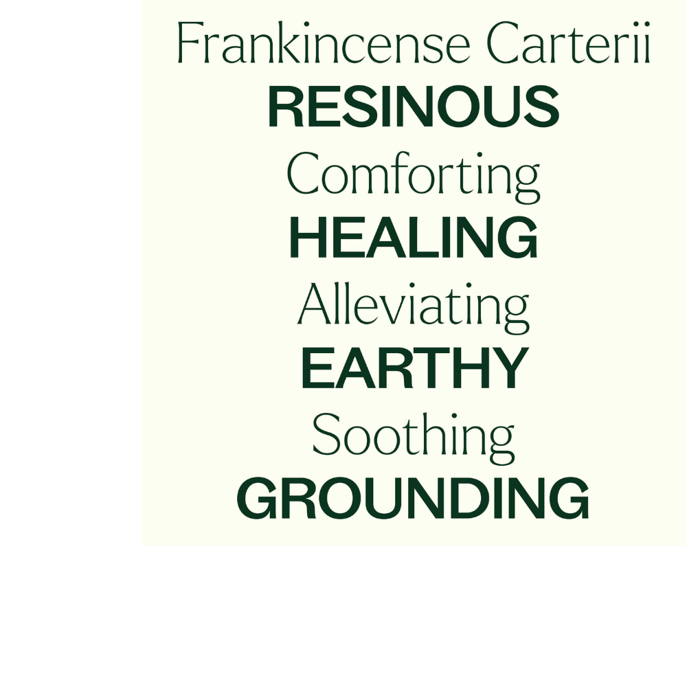 Organic Frankincense Carterii Essential Oil