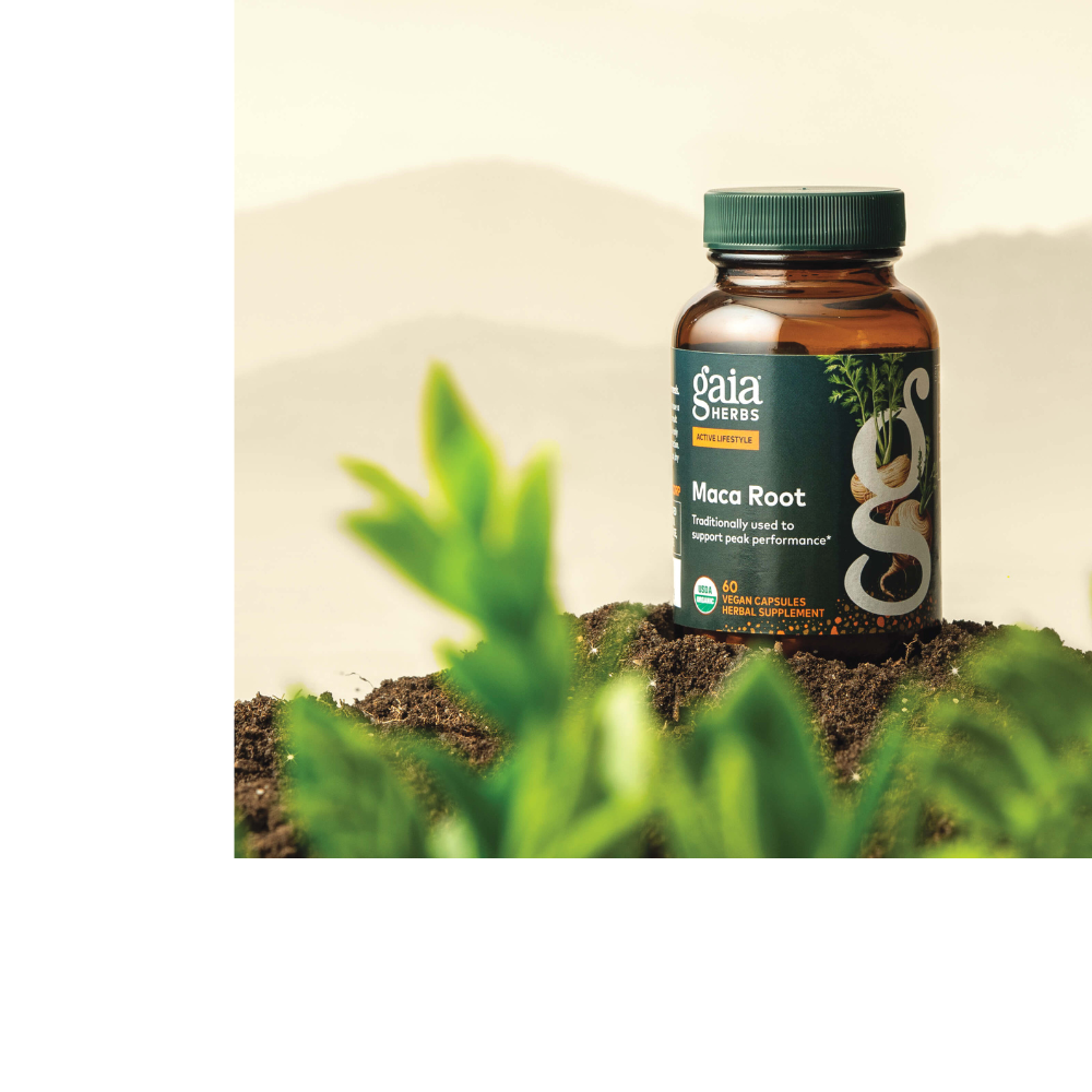 Maca Root