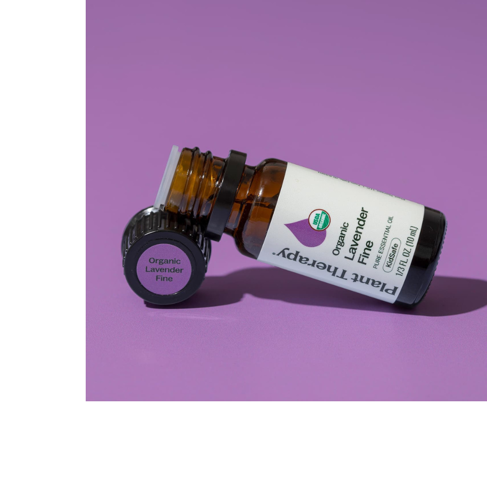 lavender oil plant therapy Organic Lavender Fine Essential Oil