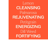 Thumbnail for Immune Boom KidSafe Essential Oil Blend Pre-Diluted Roll-On