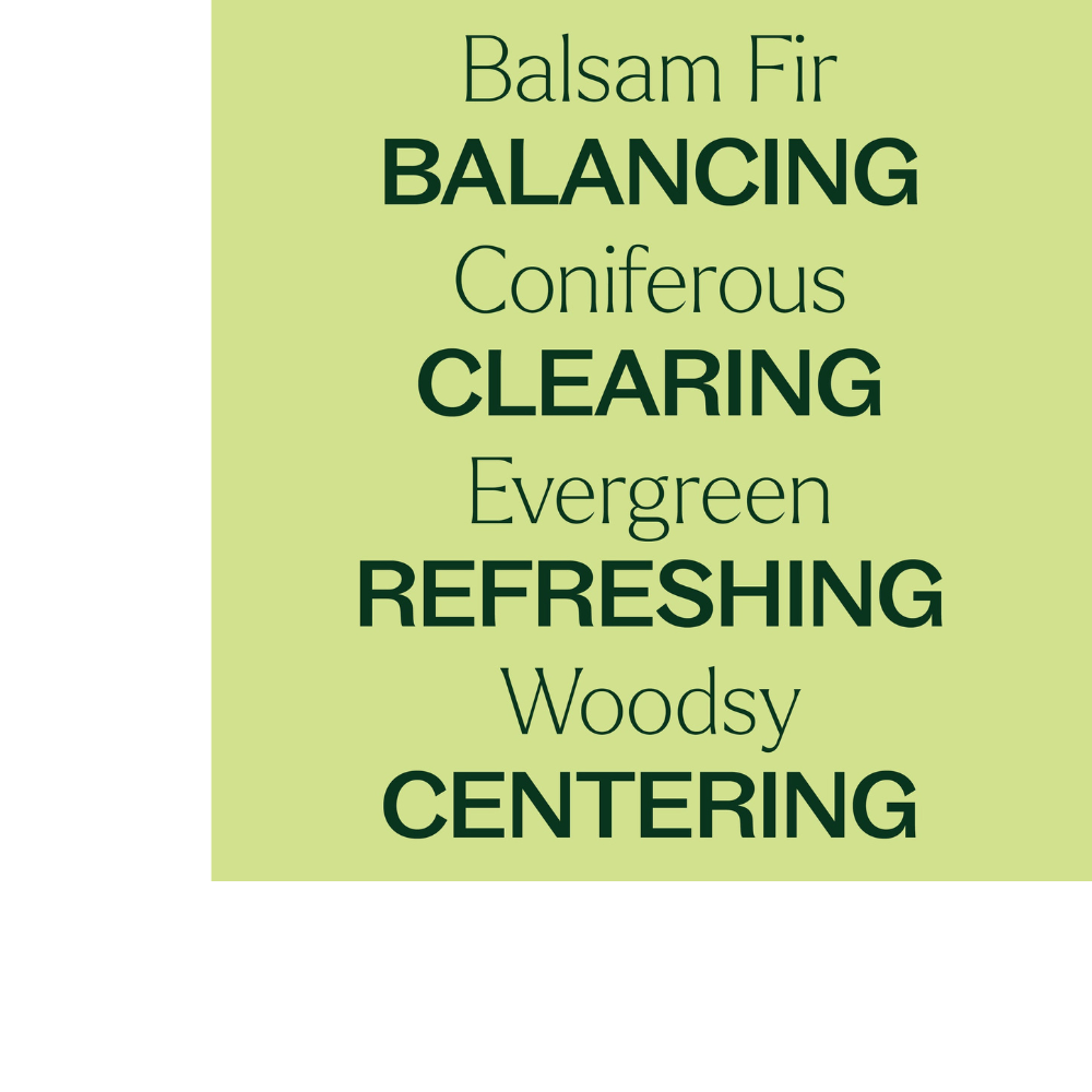 Balsam Fir Essential Oil