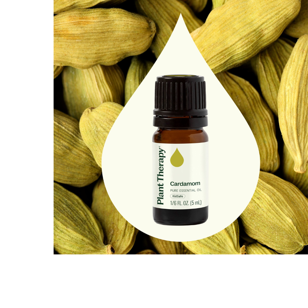 Cardamom Essential Oil