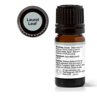 Thumbnail for Laurel Leaf Essential Oil