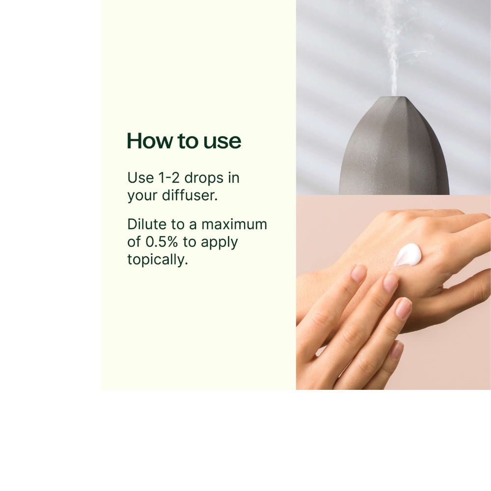 Clove Bud Essential Oil