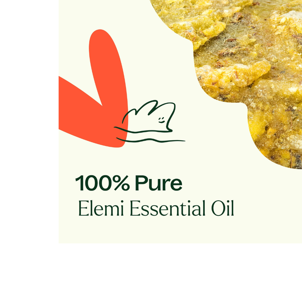 Elemi Essential Oil