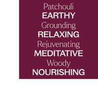 Thumbnail for Organic Patchouli Essential Oil