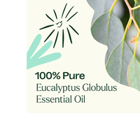 Thumbnail for Eucalyptus Globulus Essential Oil