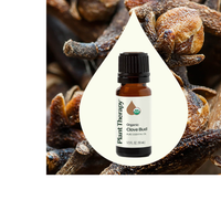 Thumbnail for Organic Clove Bud Essential Oil