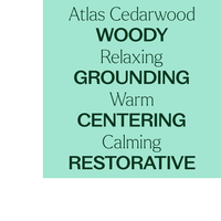 Thumbnail for Atlas Cedarwood Essential Oil