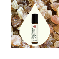 Thumbnail for Frankincense Carterii Essential Oil Pre-Diluted Roll-On