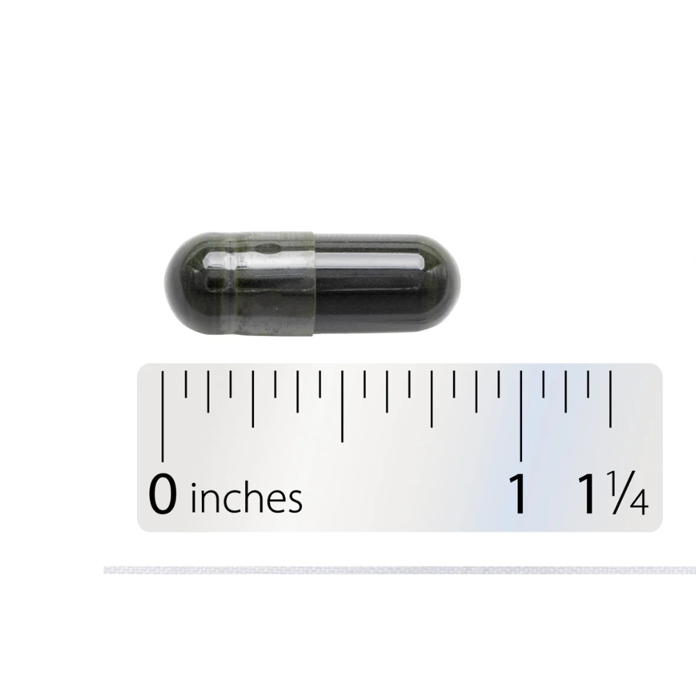 Chlorella