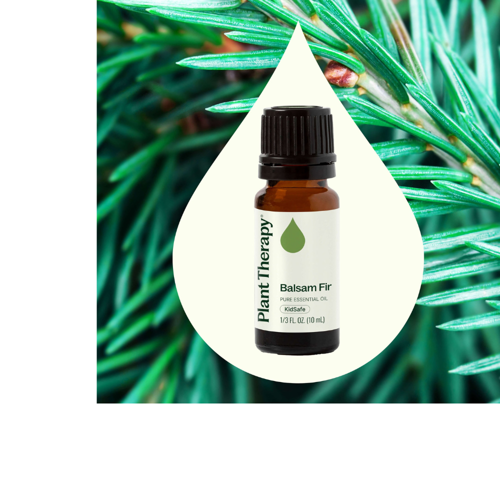 Balsam Fir Essential Oil