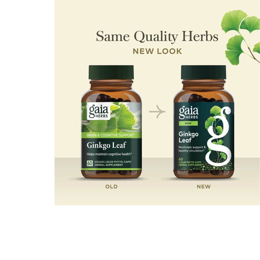 Hoja de ginkgo