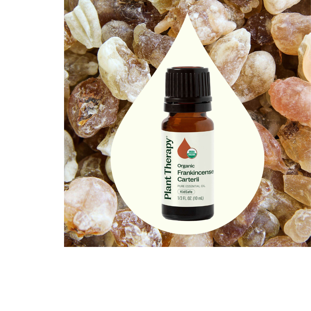 Organic Frankincense Carterii Essential Oil