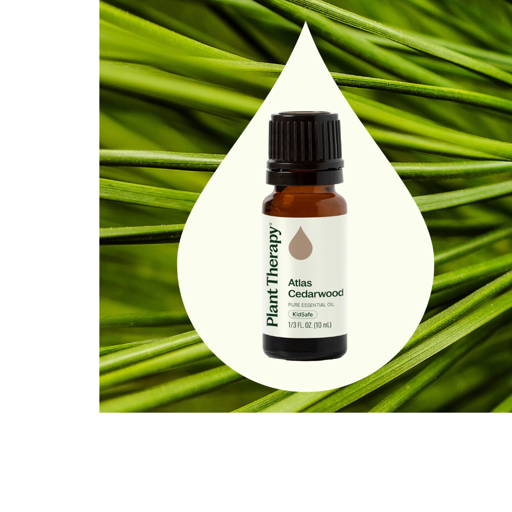 Atlas Cedarwood Essential Oil