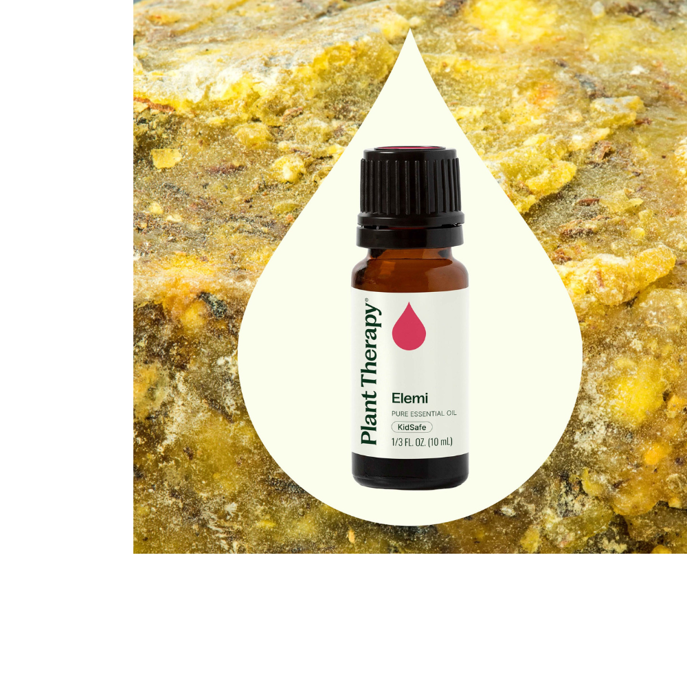 Elemi Essential Oil