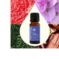 Thumbnail for Clear Intuition (Brow Chakra) Essential Oil