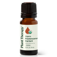 Thumbnail for Organic Frankincense Carterii Essential Oil