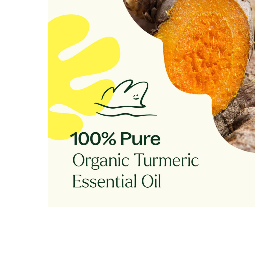 Extracto de cúrcuma orgánica CO2