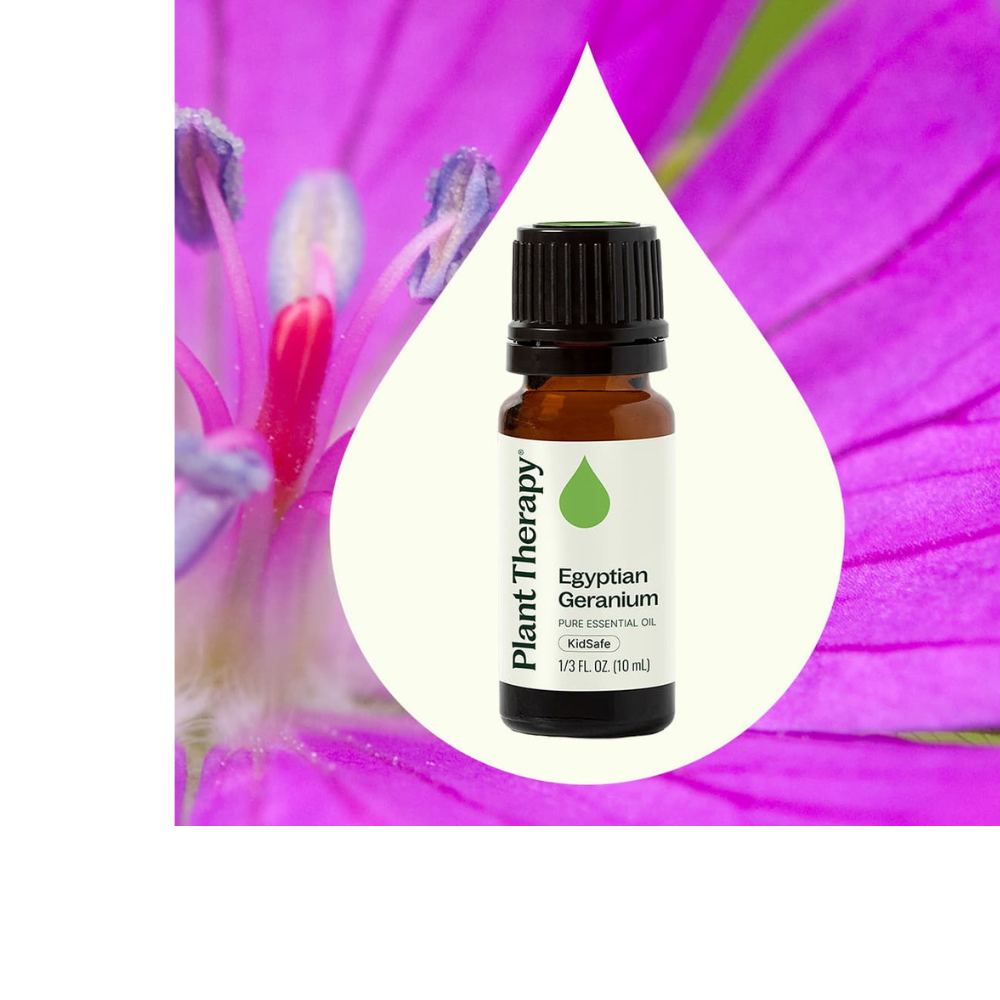 Egyptian Geranium Essential Oil
