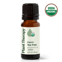 Thumbnail for Organic Tea Tree Essential Oil
